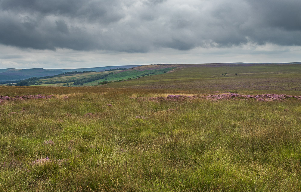 Big Moor Big Moor